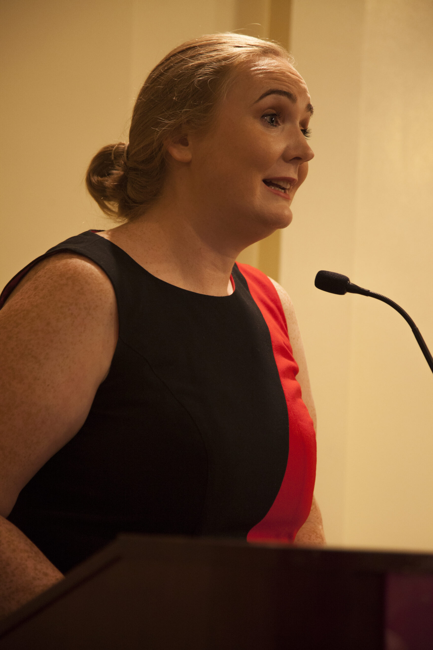 author-speaking-from-book-presentation-an-unlikely-union-at-casa-italiana