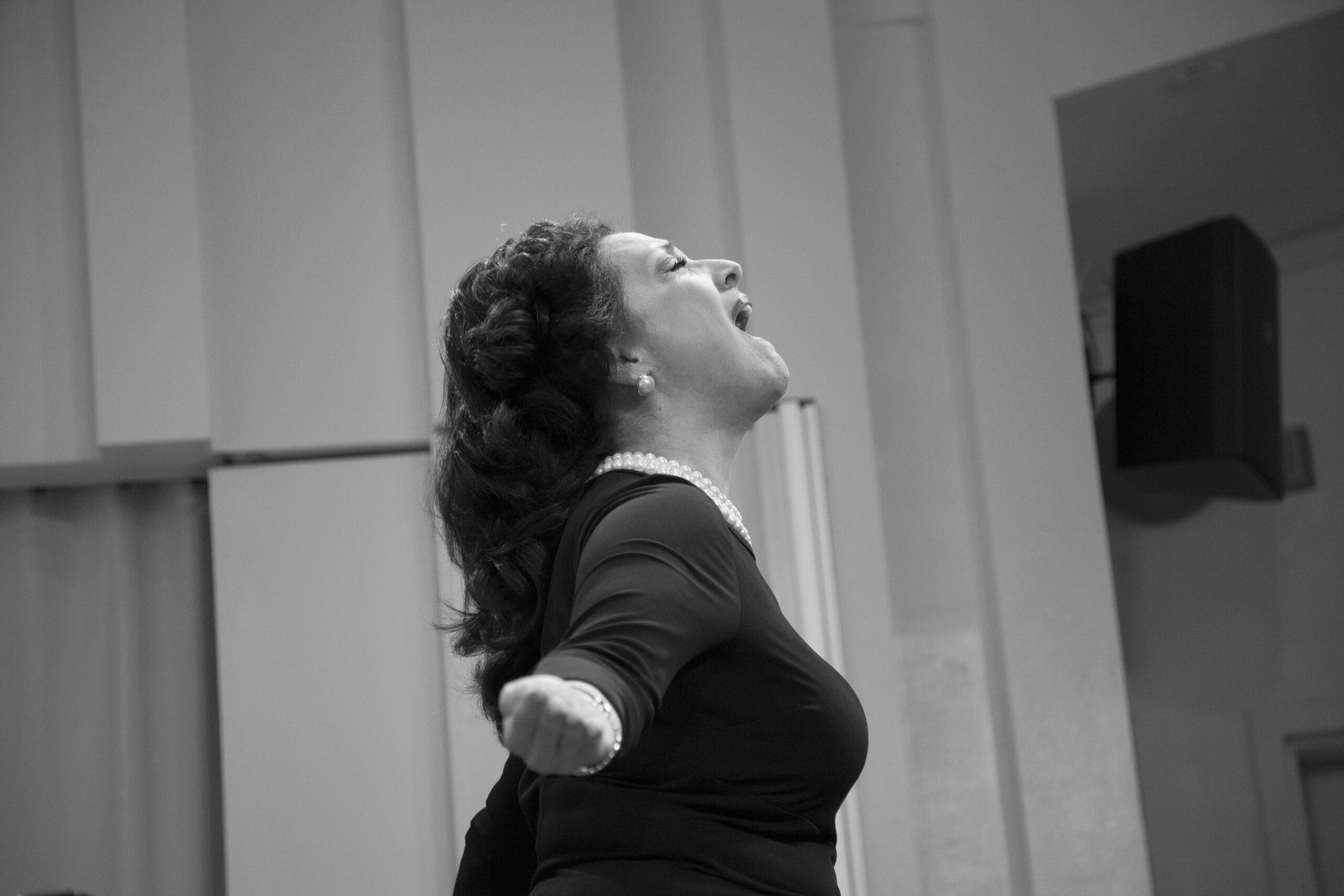 artist-performing-from-a-tribute-in-words-and-music-for-baroness-mariuccia-zerilli-marim-at-casa-italiana