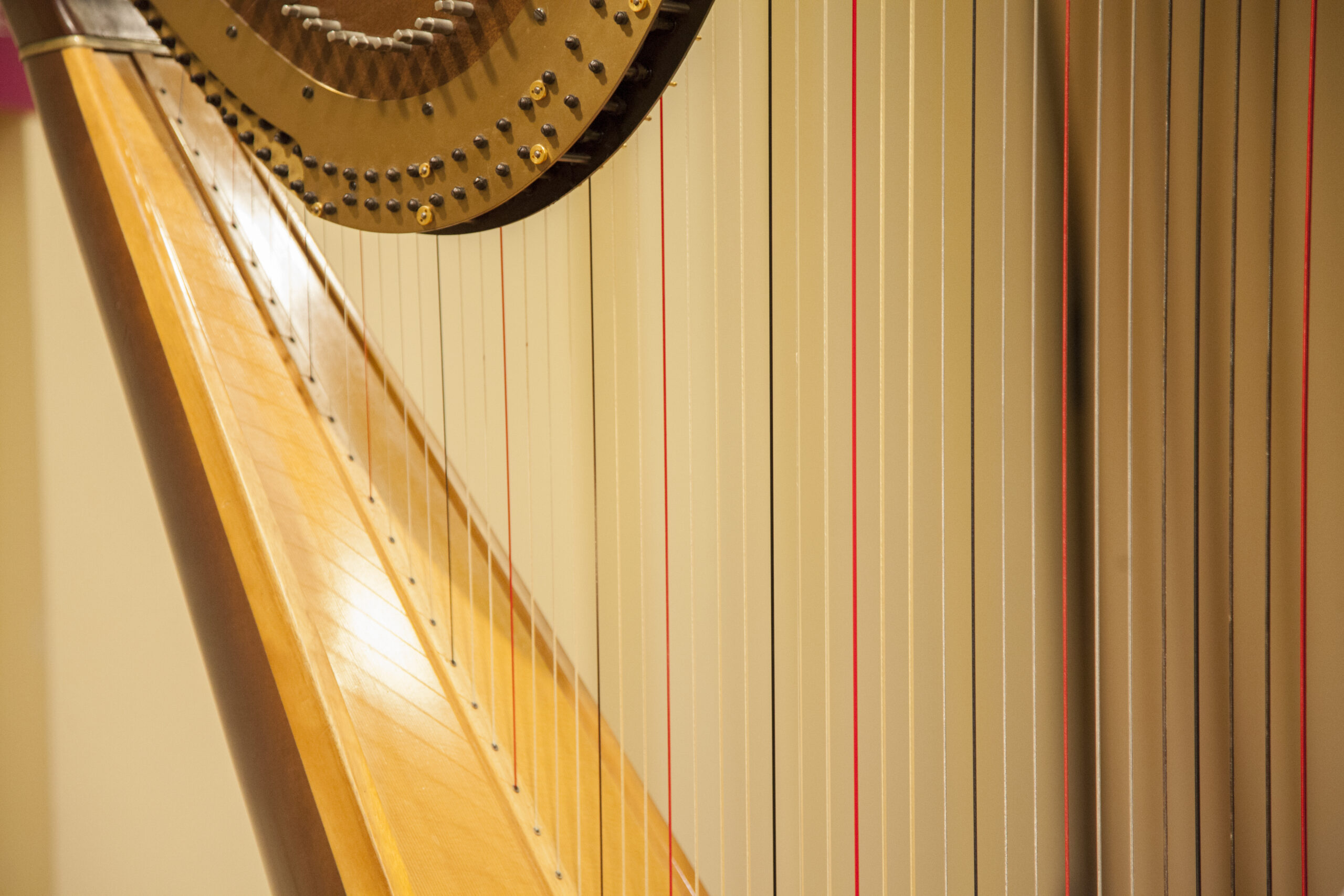 musical-instrument-potrait-from-intimamente-tango-at-casa-italiana