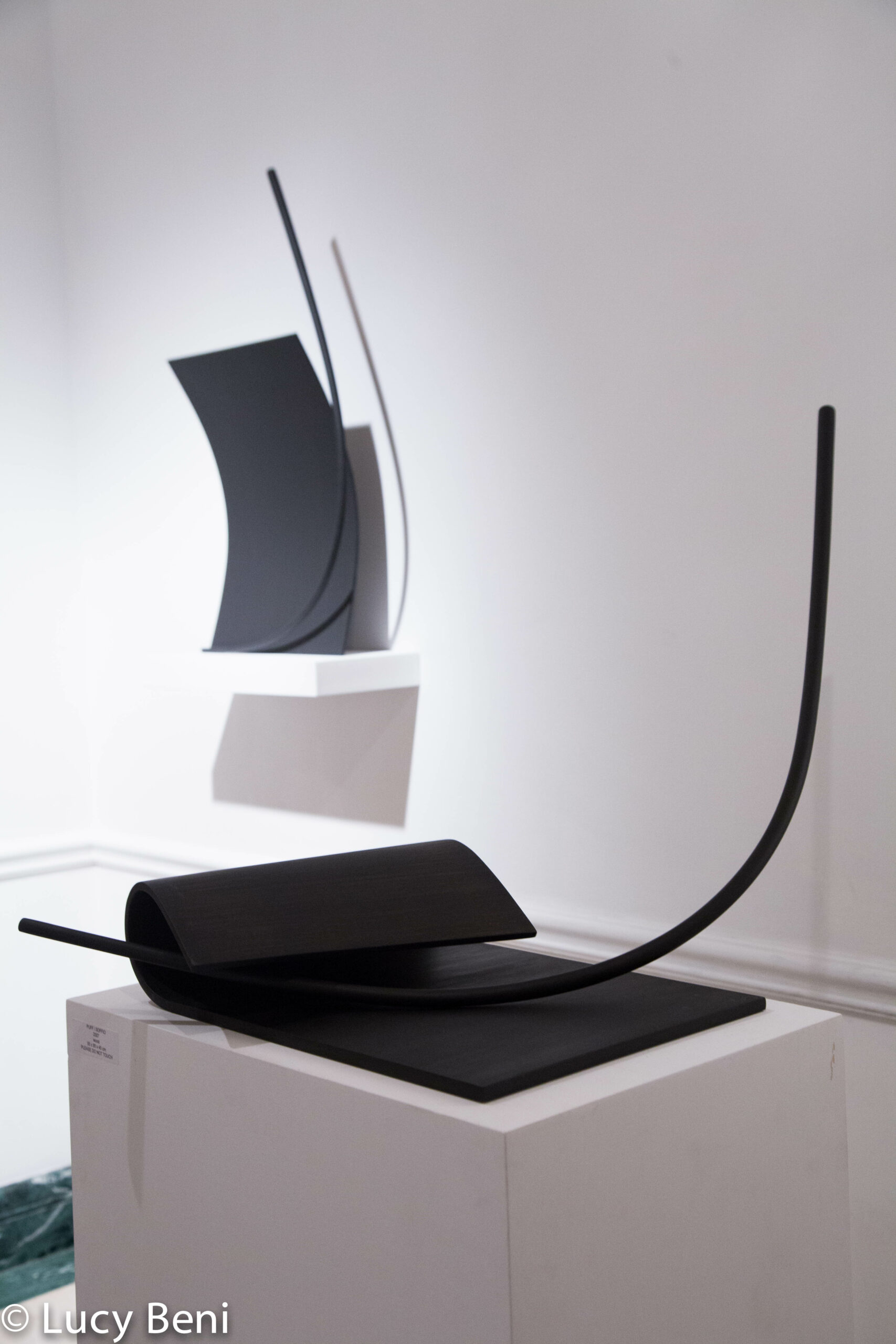 artwork-from-exhibiton-opening-works-by-roberto-almagno-at-casa-italiana