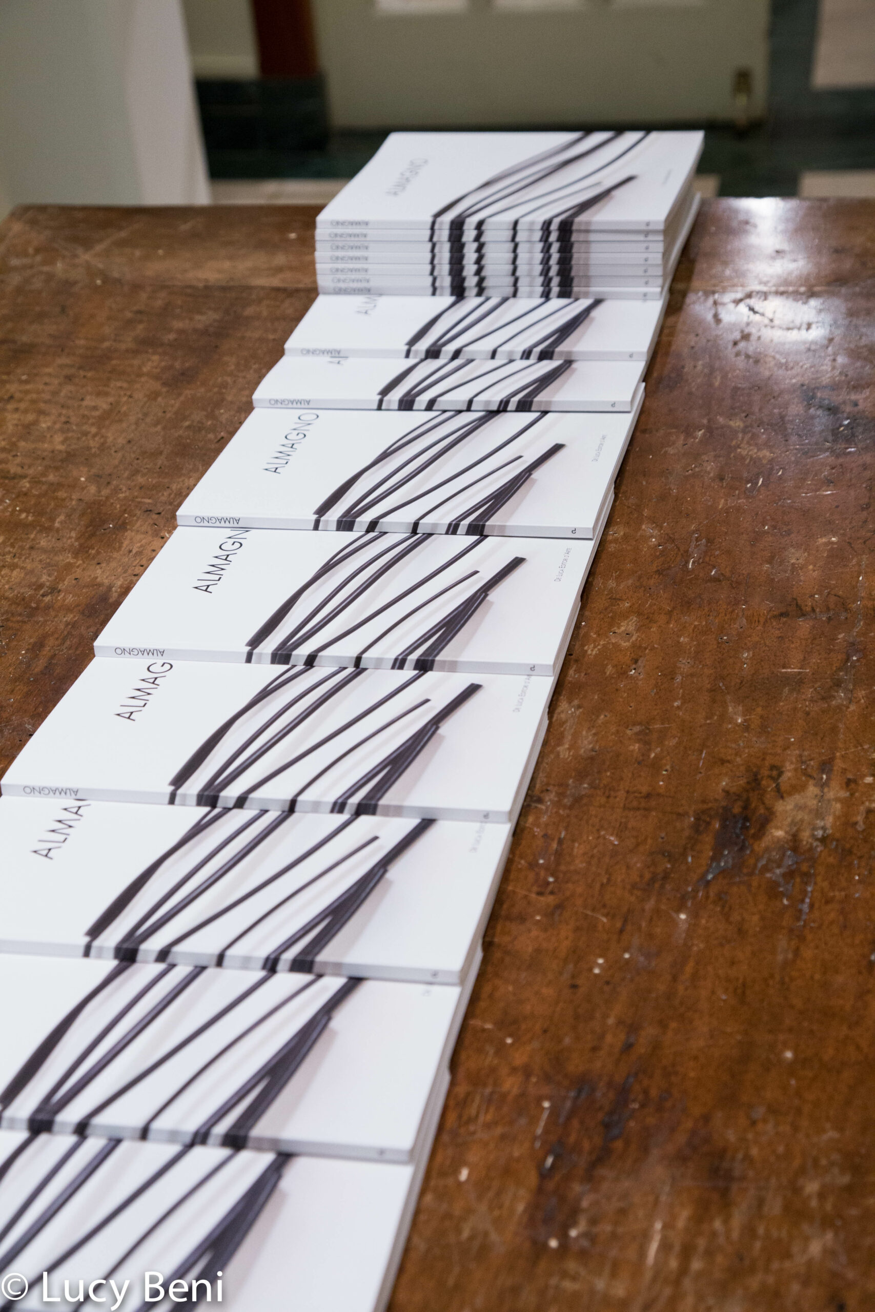 books-from-exhibiton-opening-works-by-roberto-almagno-at-casa-italiana