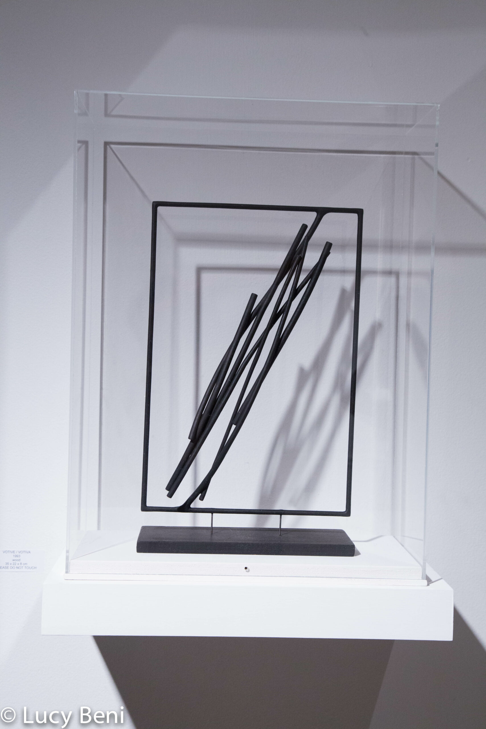 artwork-from-exhibiton-opening-works-by-roberto-almagno-at-casa-italiana
