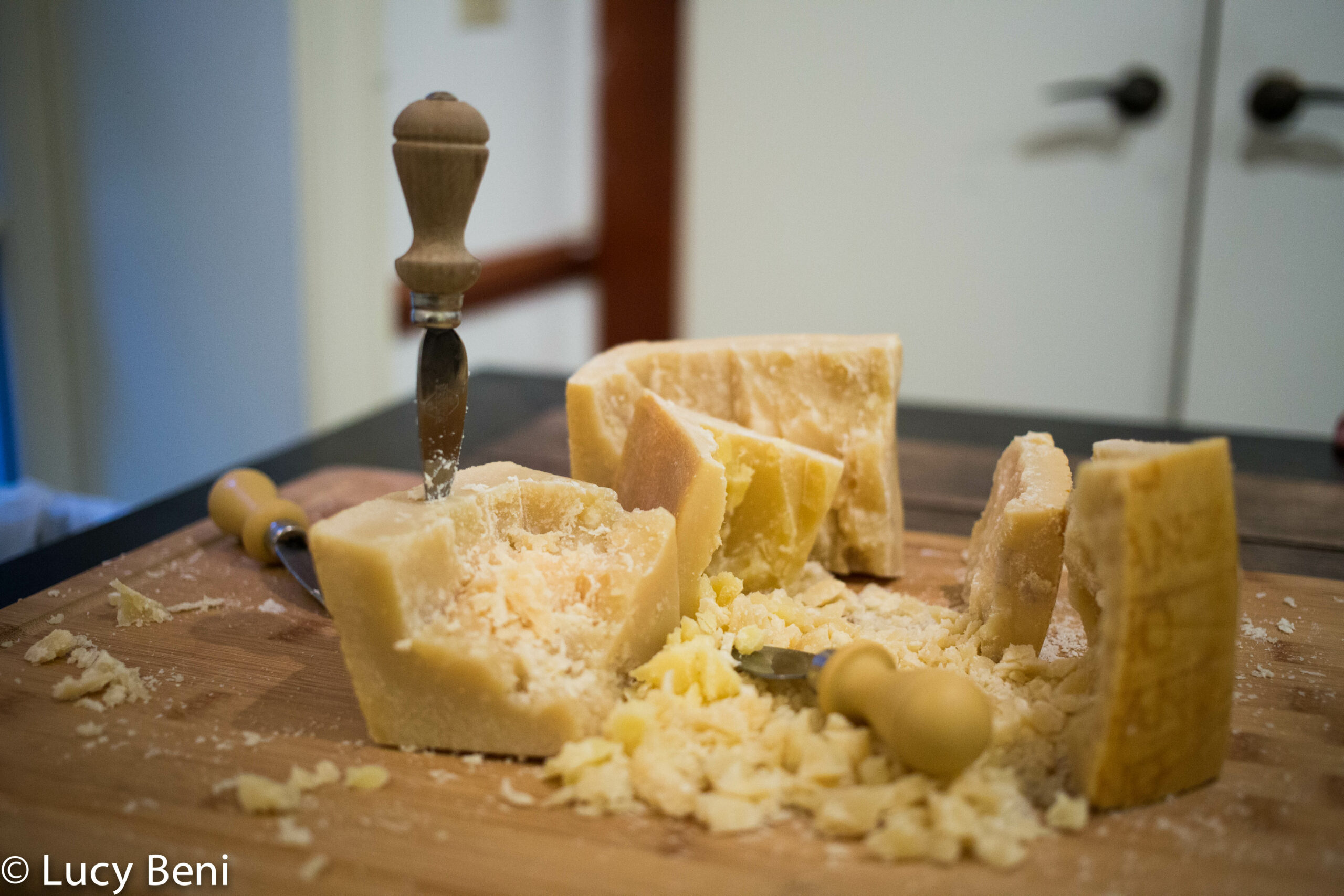 cheese-from-exhibition-opening-luisa-gardini-at-casa-italiana
