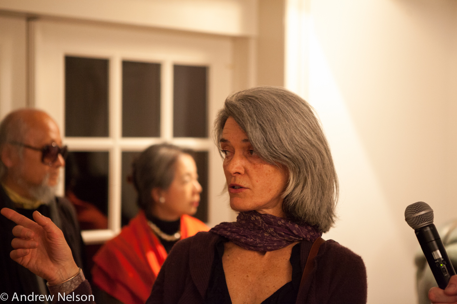 lady-talking-from-iavanet-exhibition-opening-at-casa-italiana