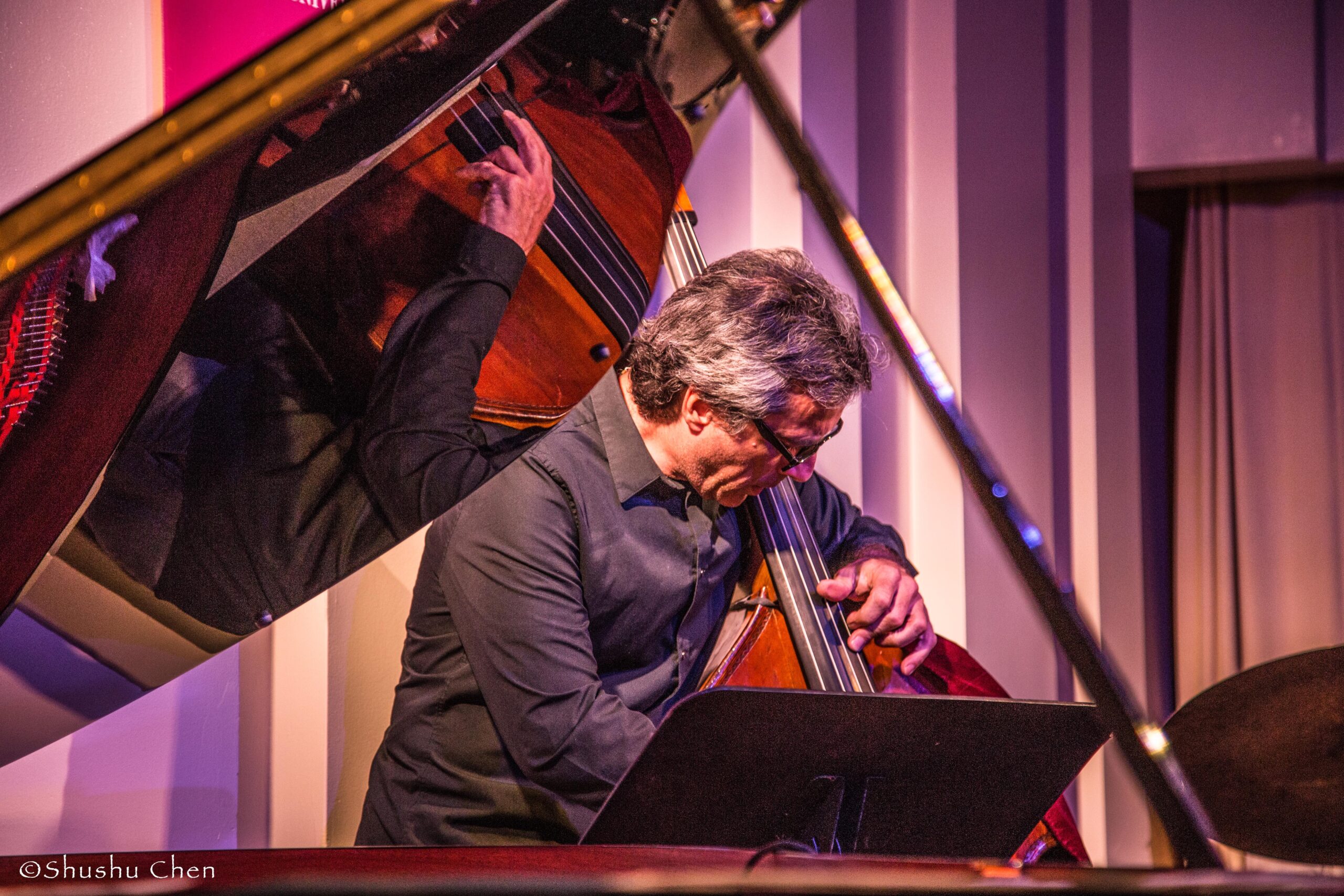 artist-performing-from-jazz-concert-luca-santaniello-at-casa-italiana