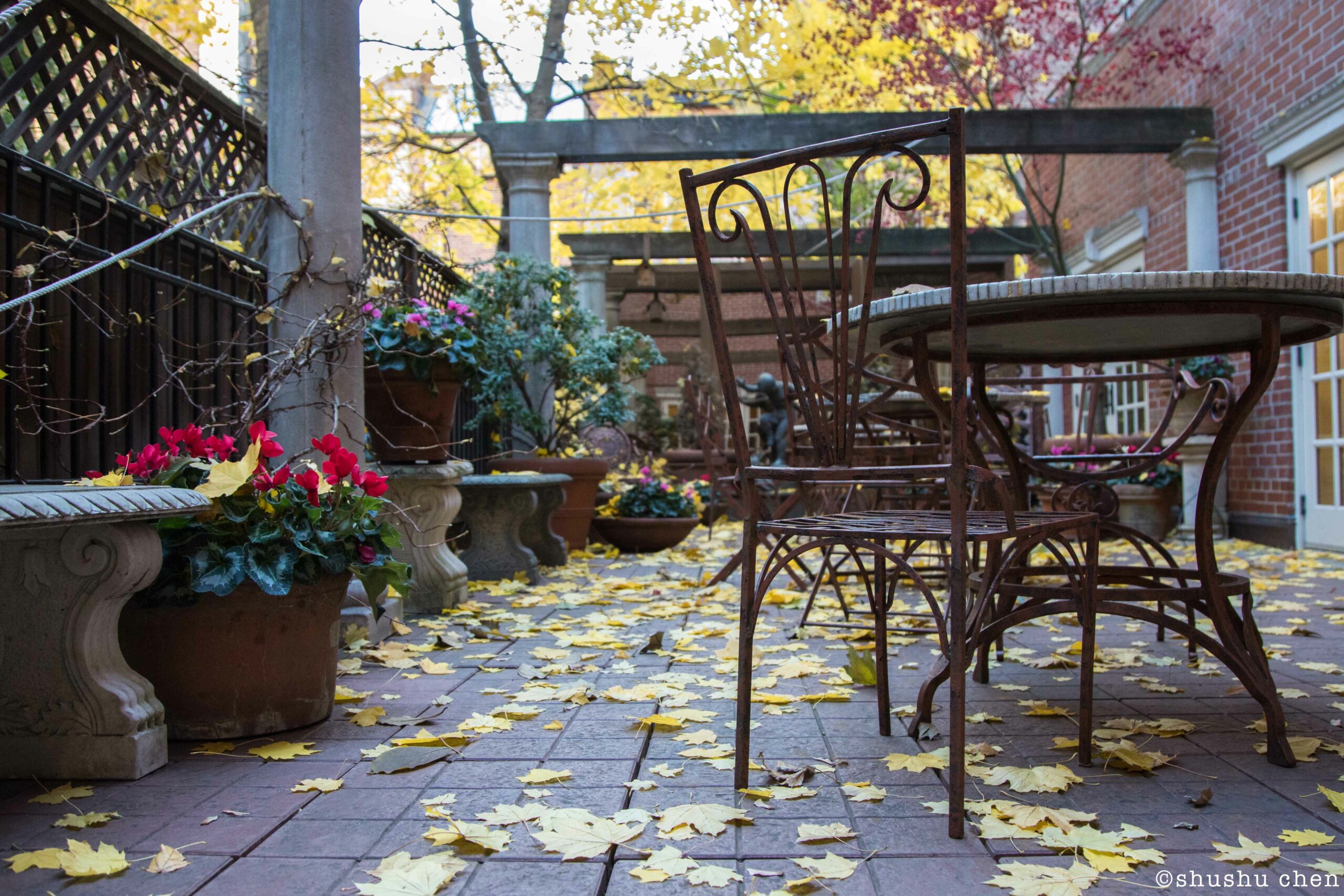 garden-from-addressing-style-mascagni-at-casa-italiana