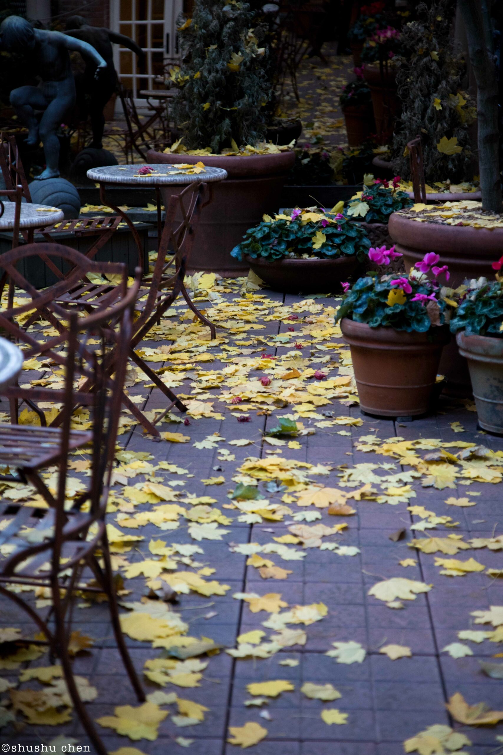 flowers-from-addressing-style-mascagni-at-casa-italiana
