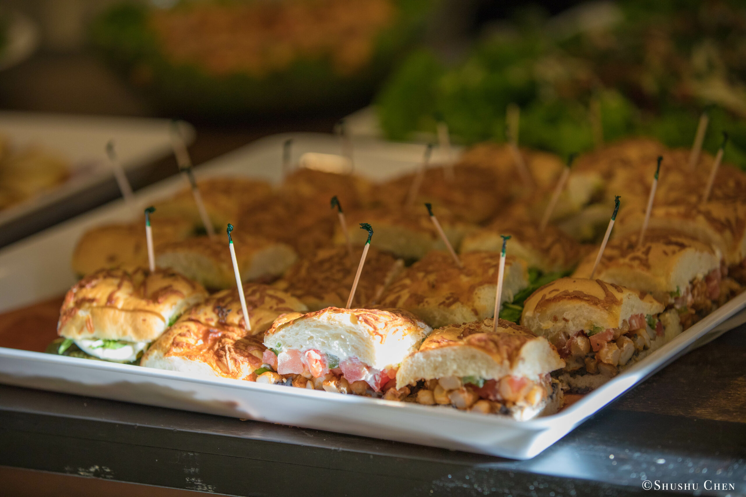 food-from-seminar-global-interdependence-and-the-crisis-of-democracy-at-casa-italiana