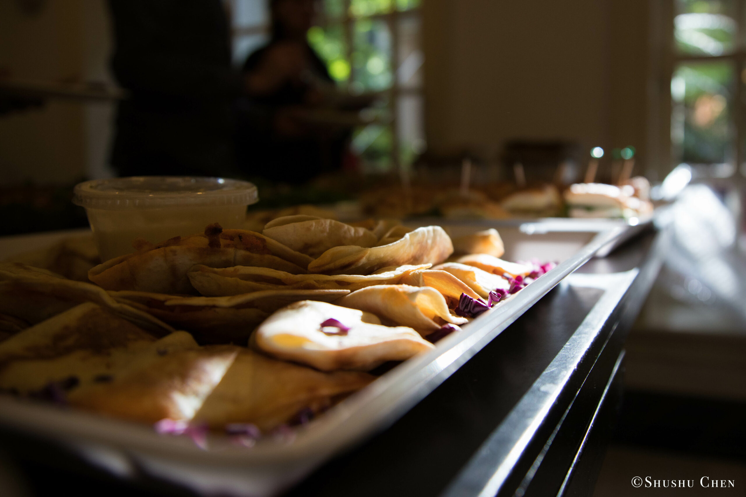 food-from-seminar-global-interdependence-and-the-crisis-of-democracy-at-casa-italiana