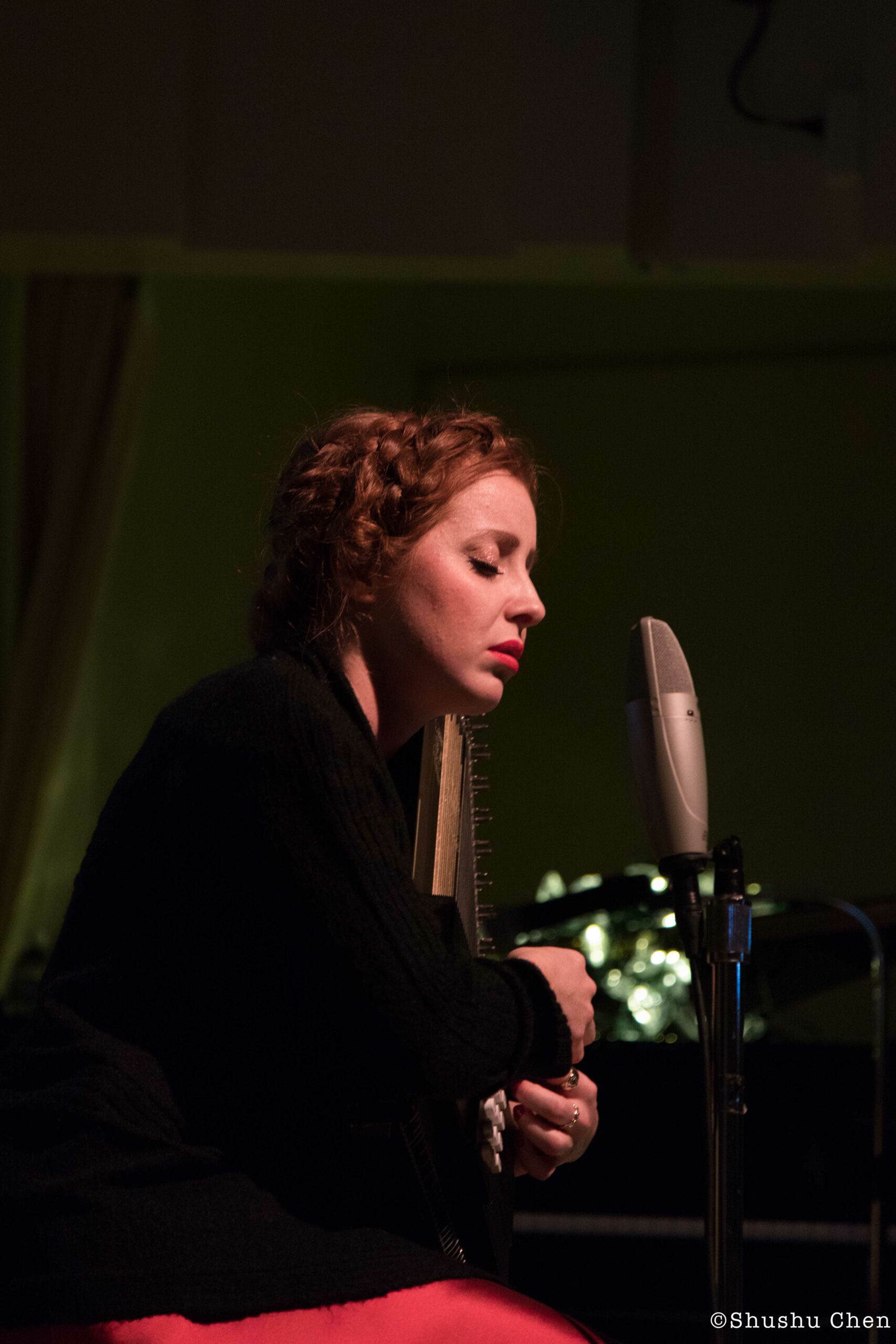 artist-performing-from-concert-in-the-musical-wonderland-of-alessandra-at-casa-italiana