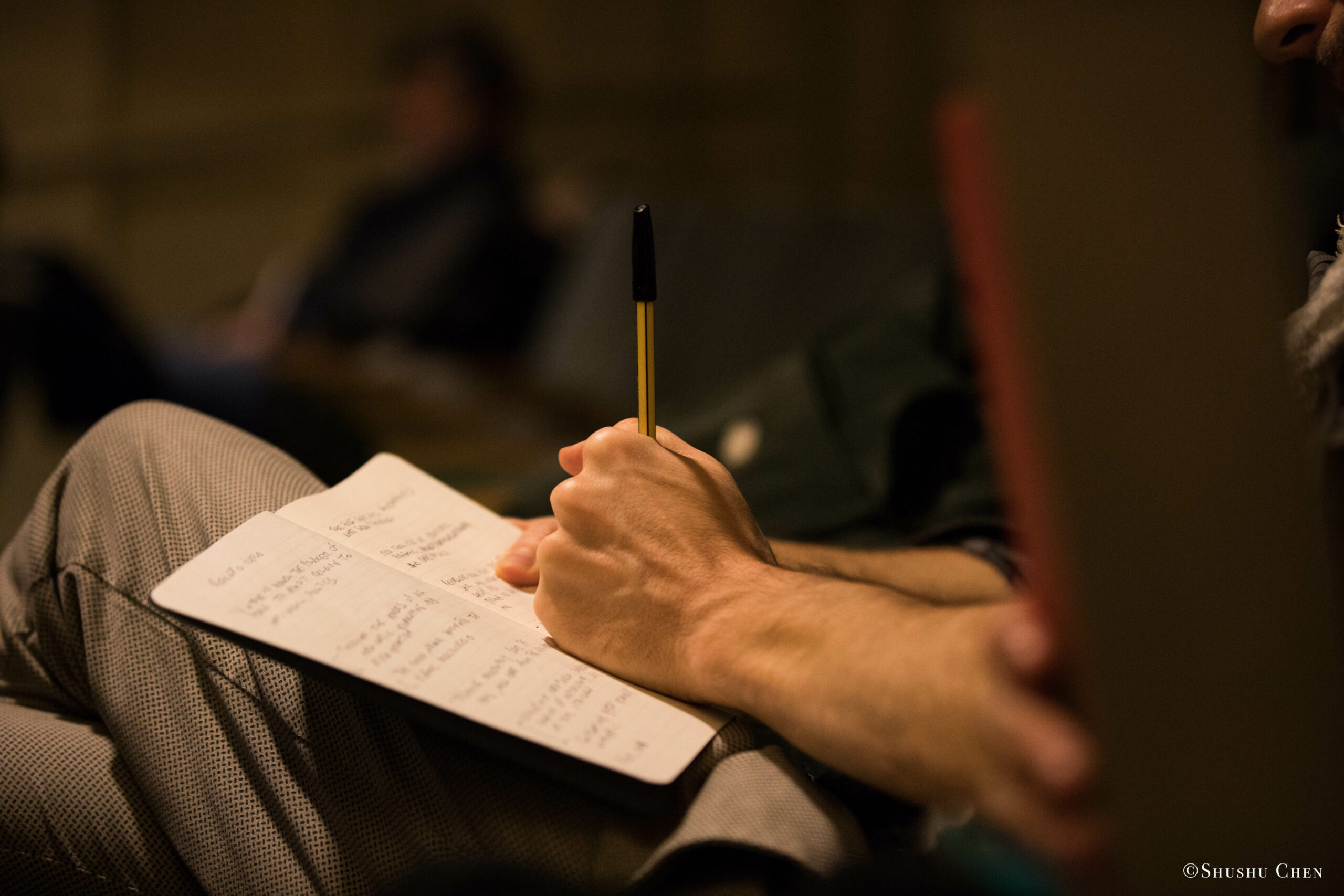 book-and-pen-from-seminar-global-interdependence-and-the-crisis-of-democracy-at-casa-italiana