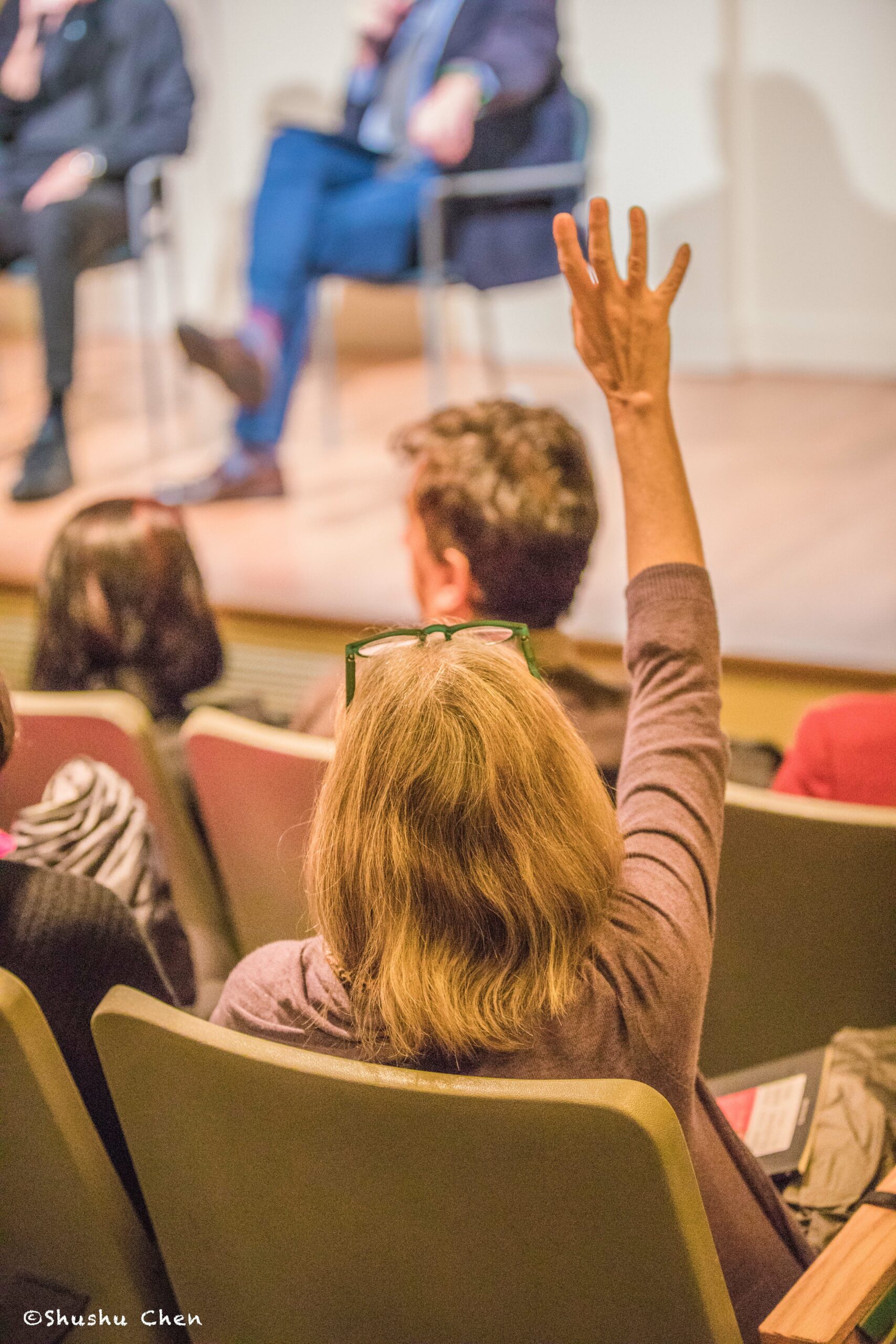 spectator-raising-hand-from-francesco-de-gregori-at-casa-italiana