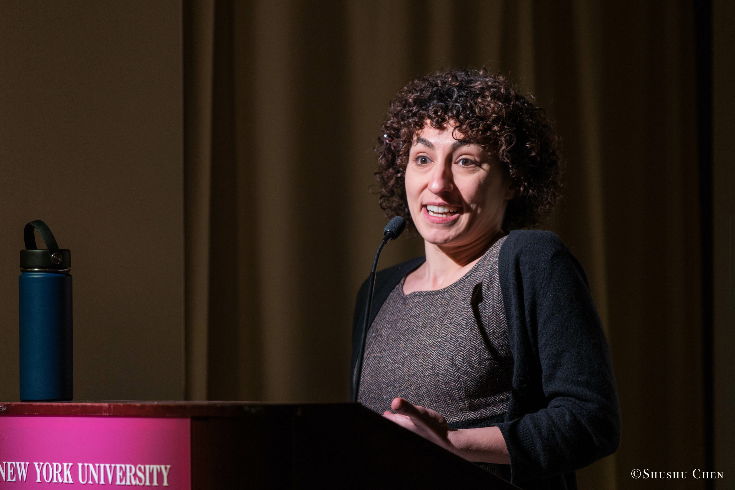 speaker-talking-from-seminar-global-interdependence-and-the-crisis-of-democracy-at-casa-italiana