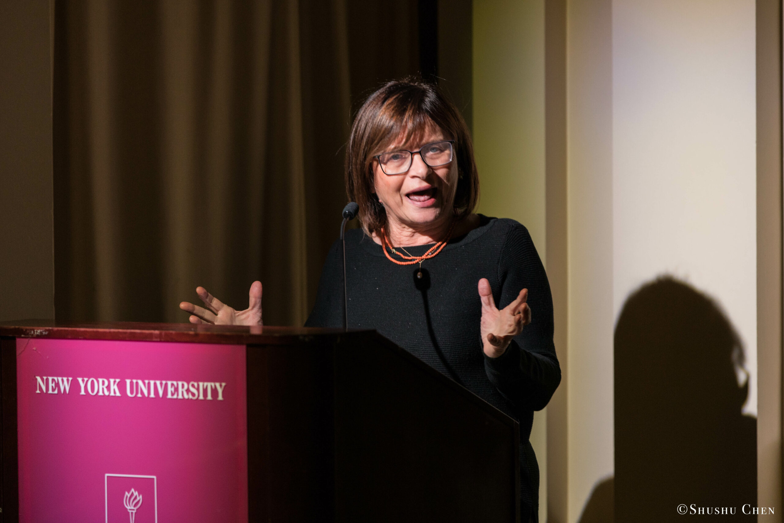 speaker-talking-from-seminar-global-interdependence-and-the-crisis-of-democracy-at-casa-italiana