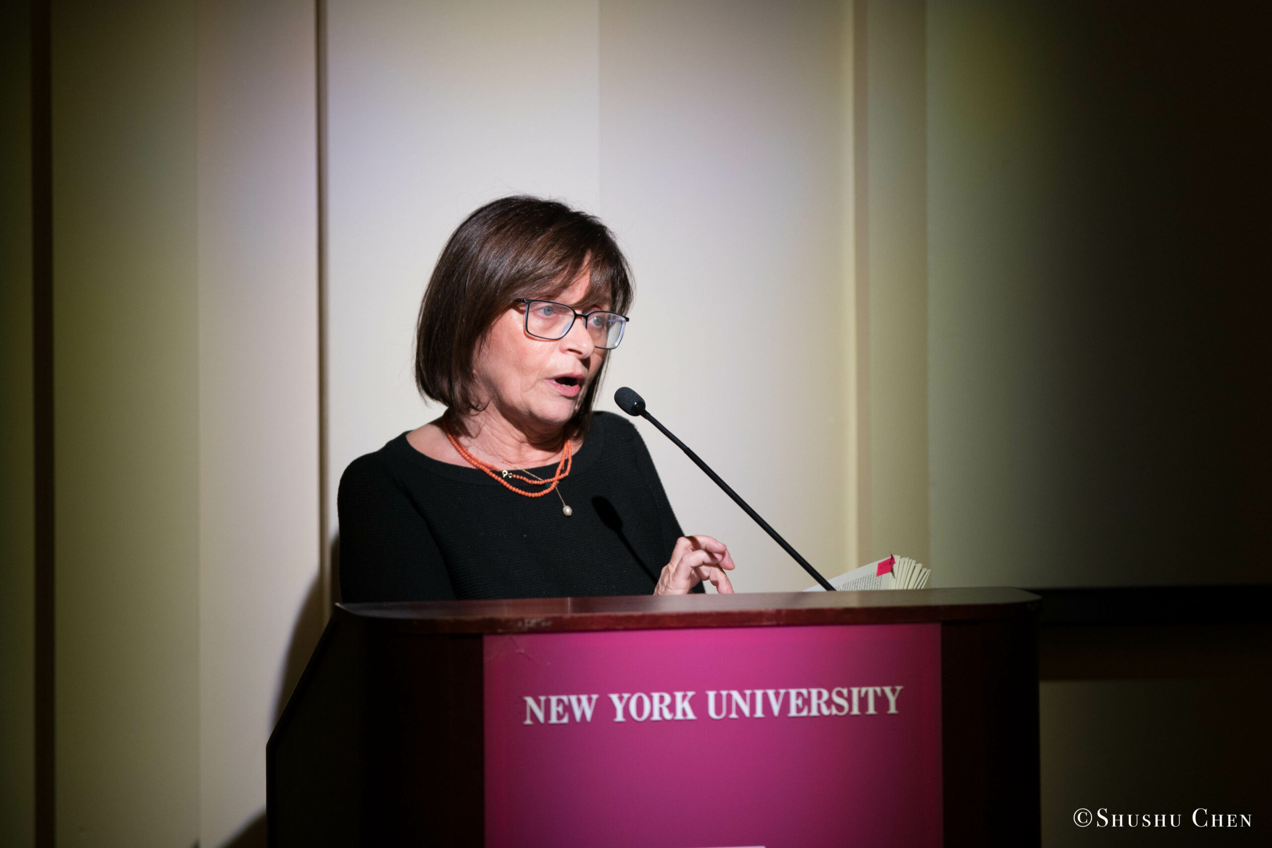 speaker-talking-from-seminar-global-interdependence-and-the-crisis-of-democracy-at-casa-italiana