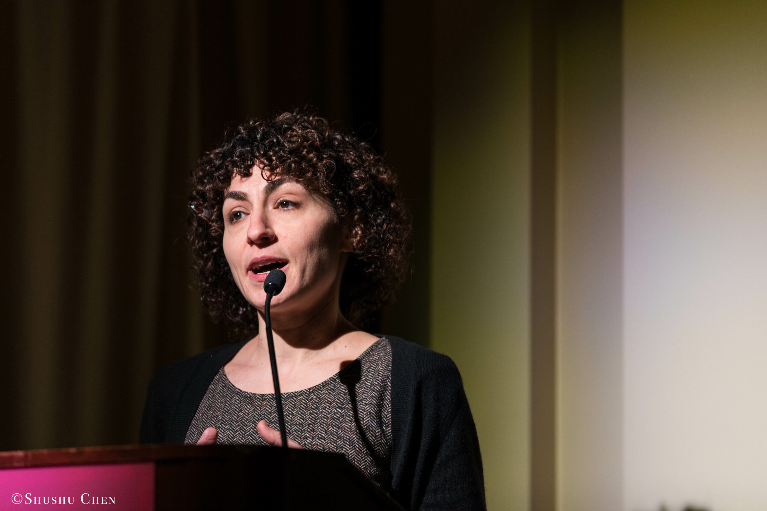speaker-talking-from-seminar-global-interdependence-and-the-crisis-of-democracy-at-casa-italiana
