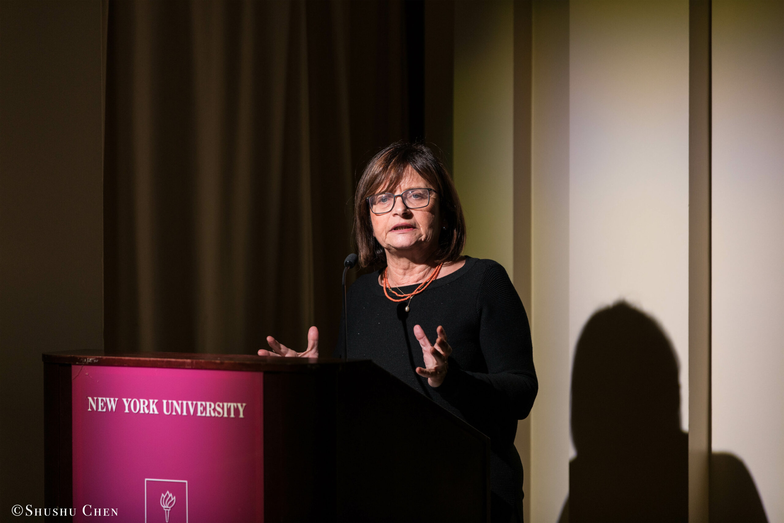 speaker-talking-from-seminar-global-interdependence-and-the-crisis-of-democracy-at-casa-italiana