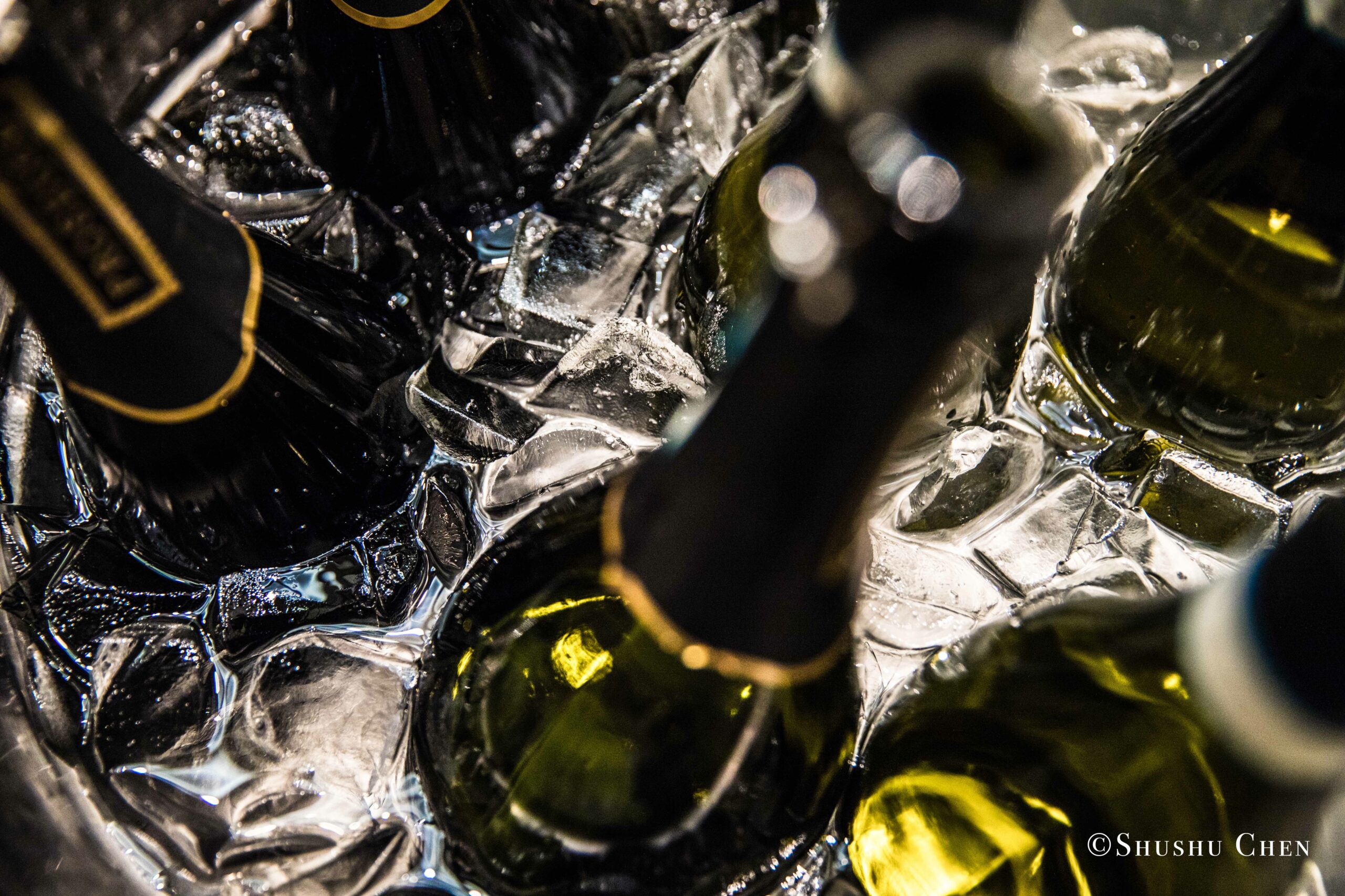 close-up-of-champagne-bottles-chilling-in-a-bucket-filled-with-ice-cubes-from-Italian-table-talks-at-casa-italiana
