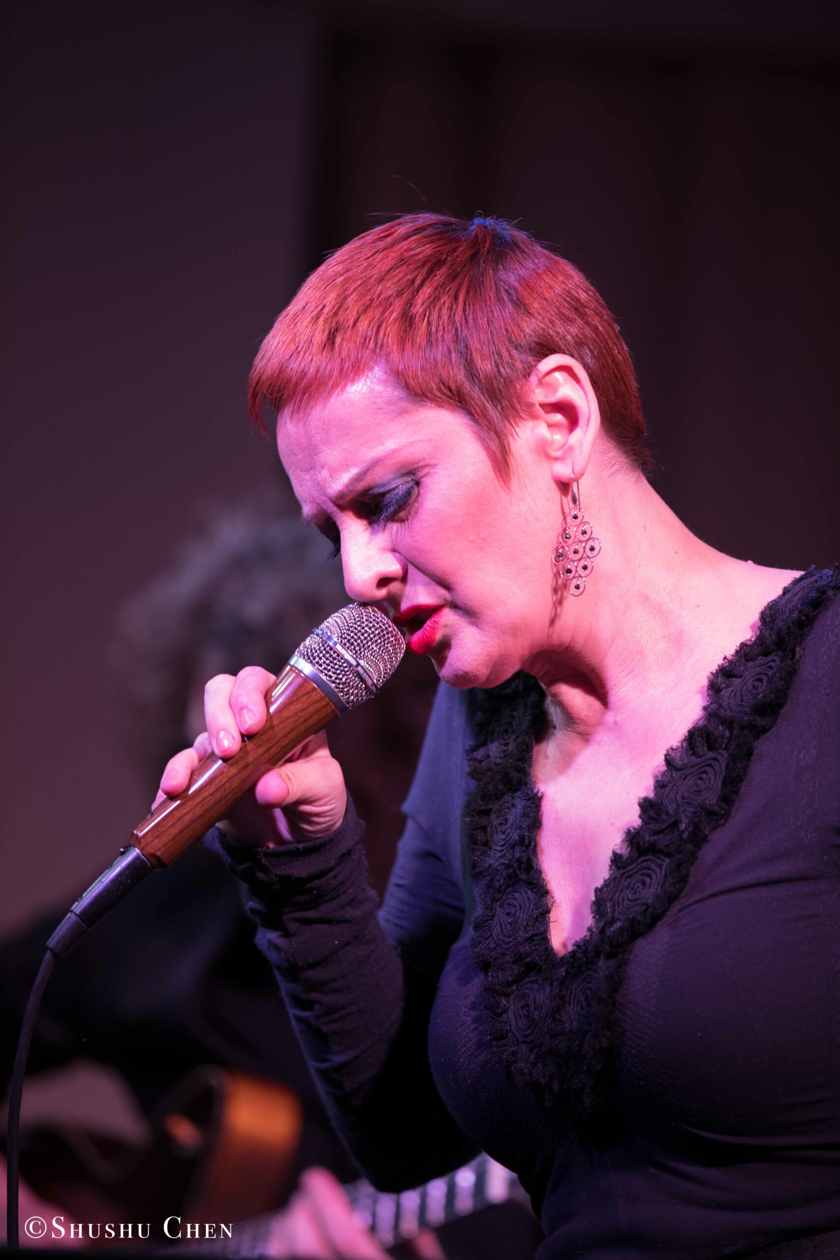 singer-performing-from-concert-quando-la-banda-passo-at-casa-italiana