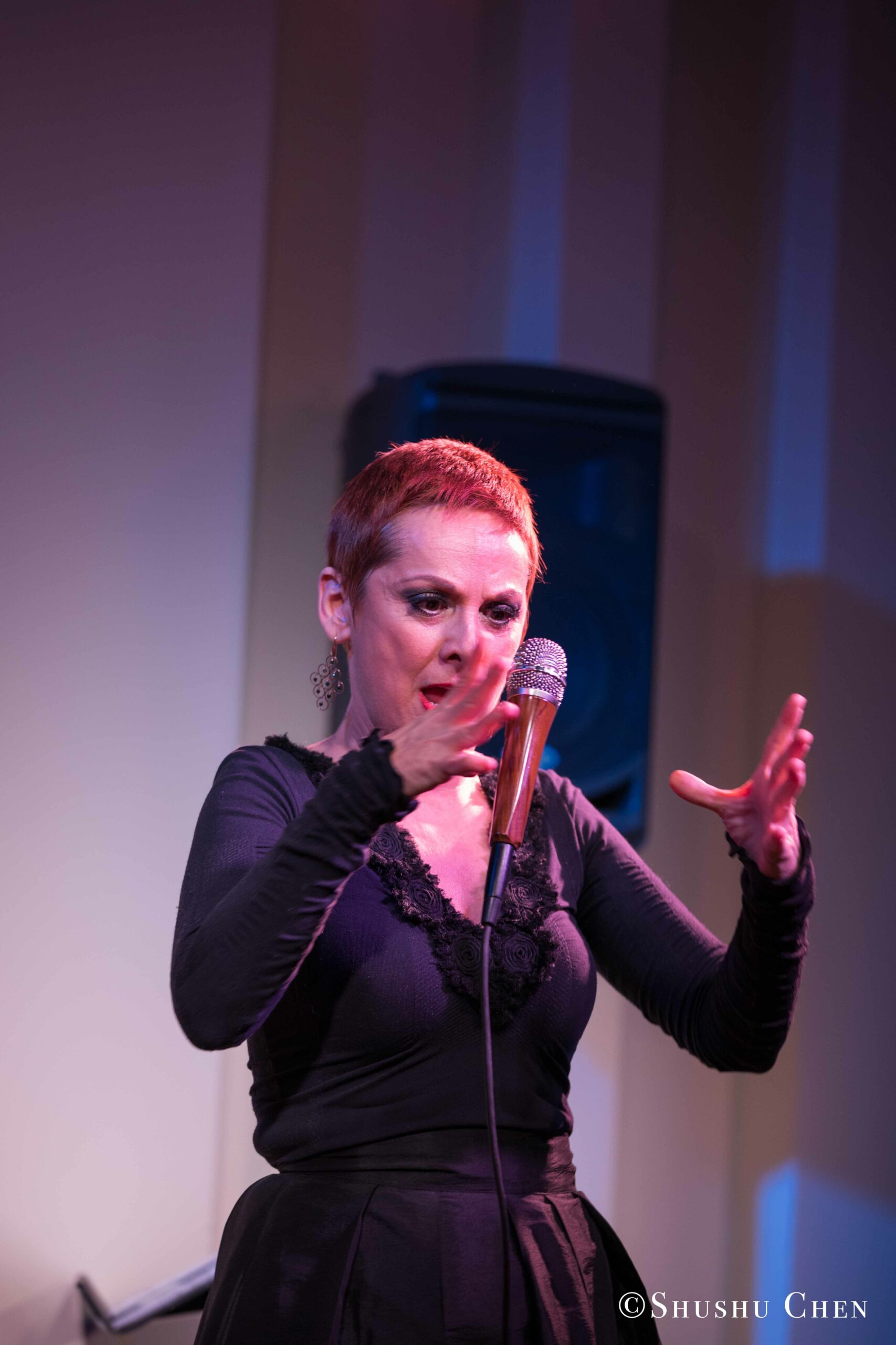 singer-performing-from-concert-quando-la-banda-passo-at-casa-italiana