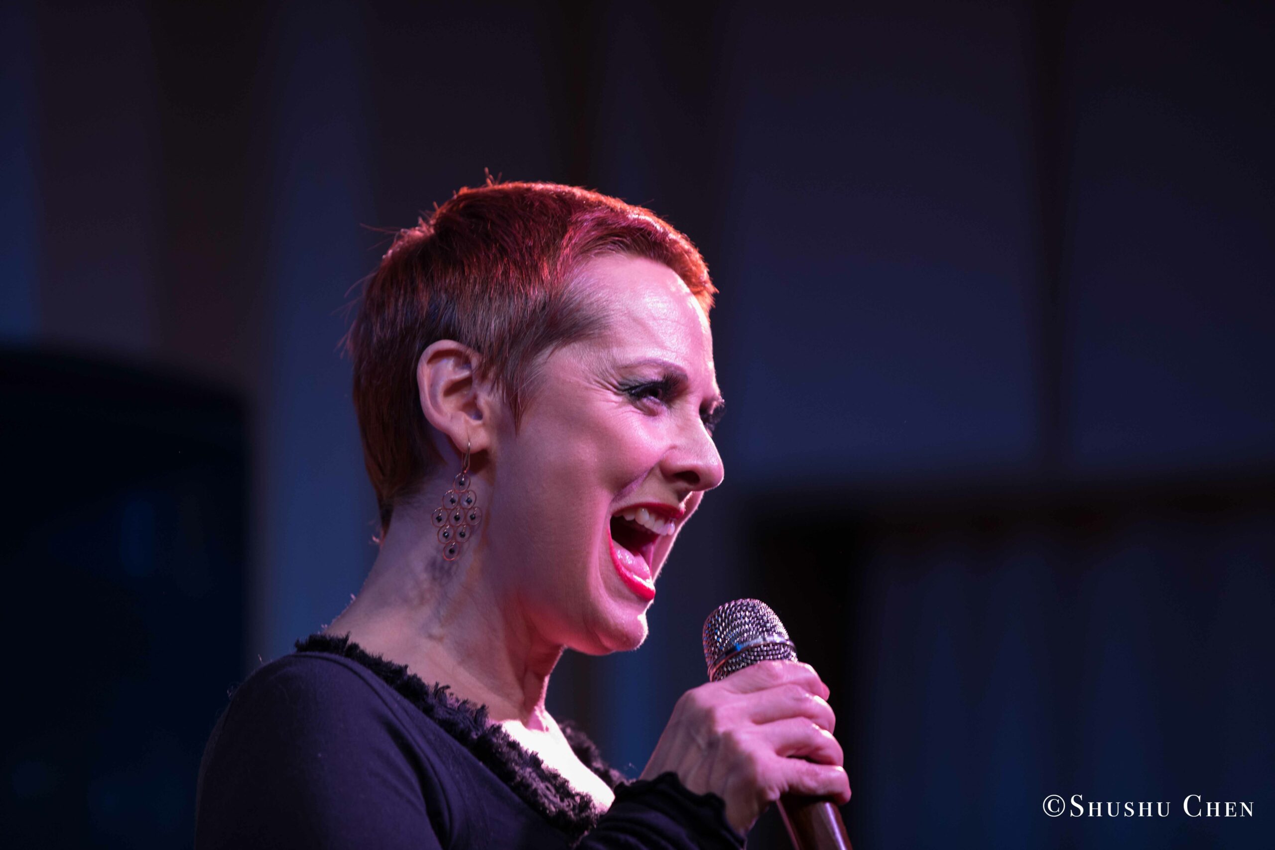 singer-performing-from-concert-quando-la-banda-passo-at-casa-italiana