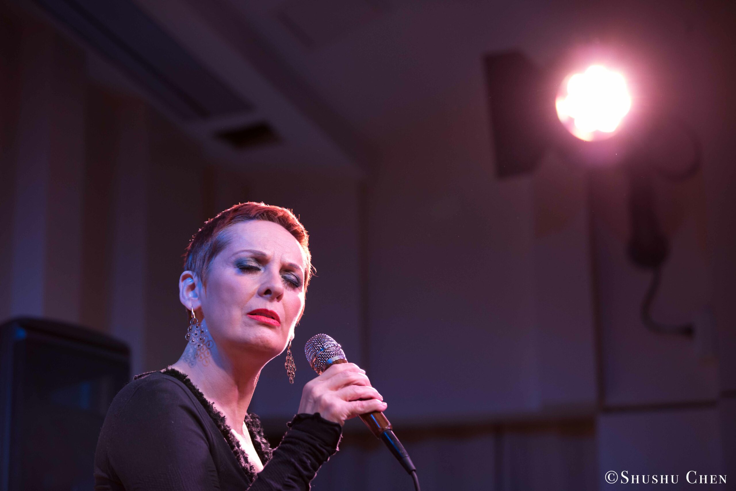 singer-performing-from-concert-quando-la-banda-passo-at-casa-italiana