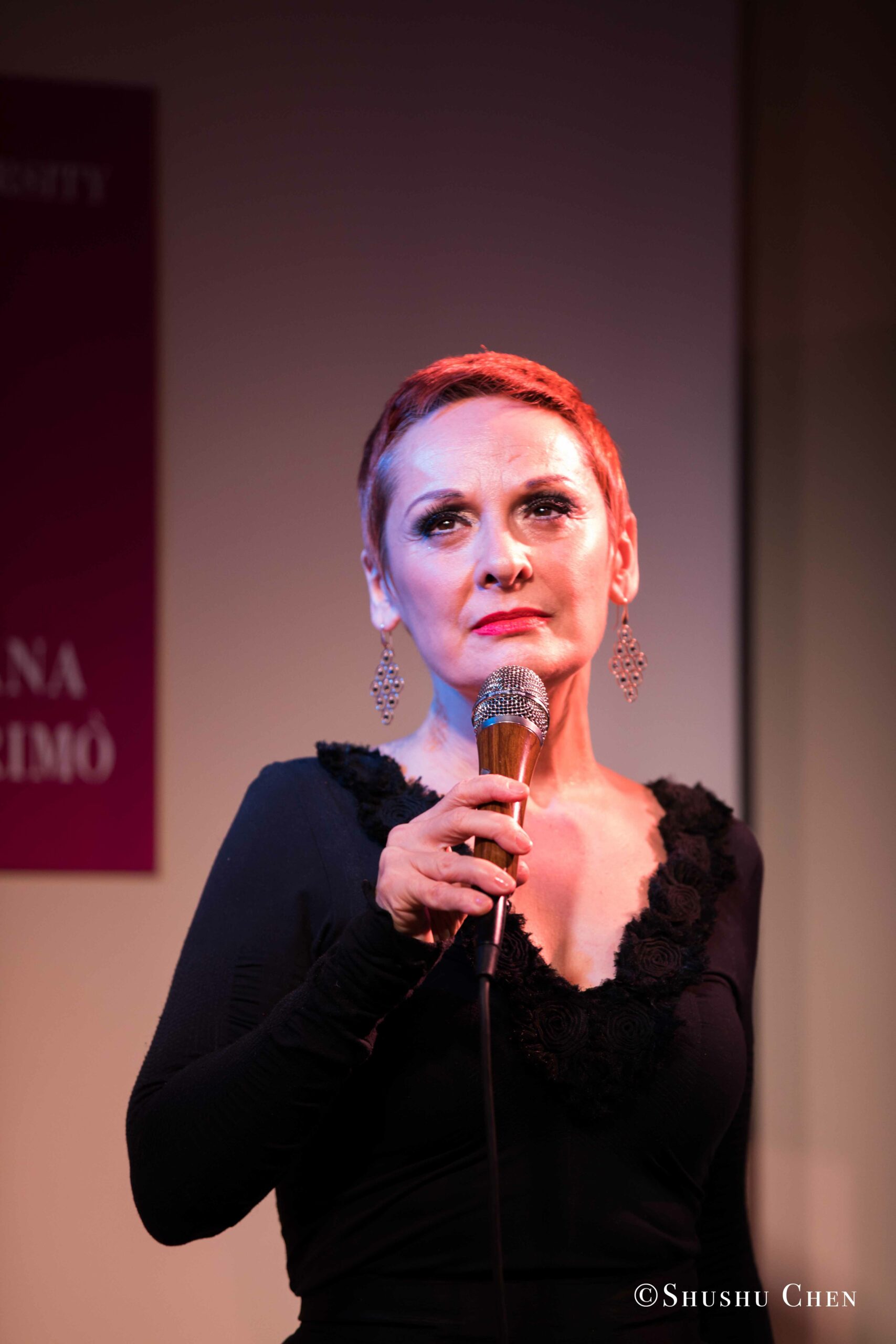 singer-performing-from-concert-quando-la-banda-passo-at-casa-italiana