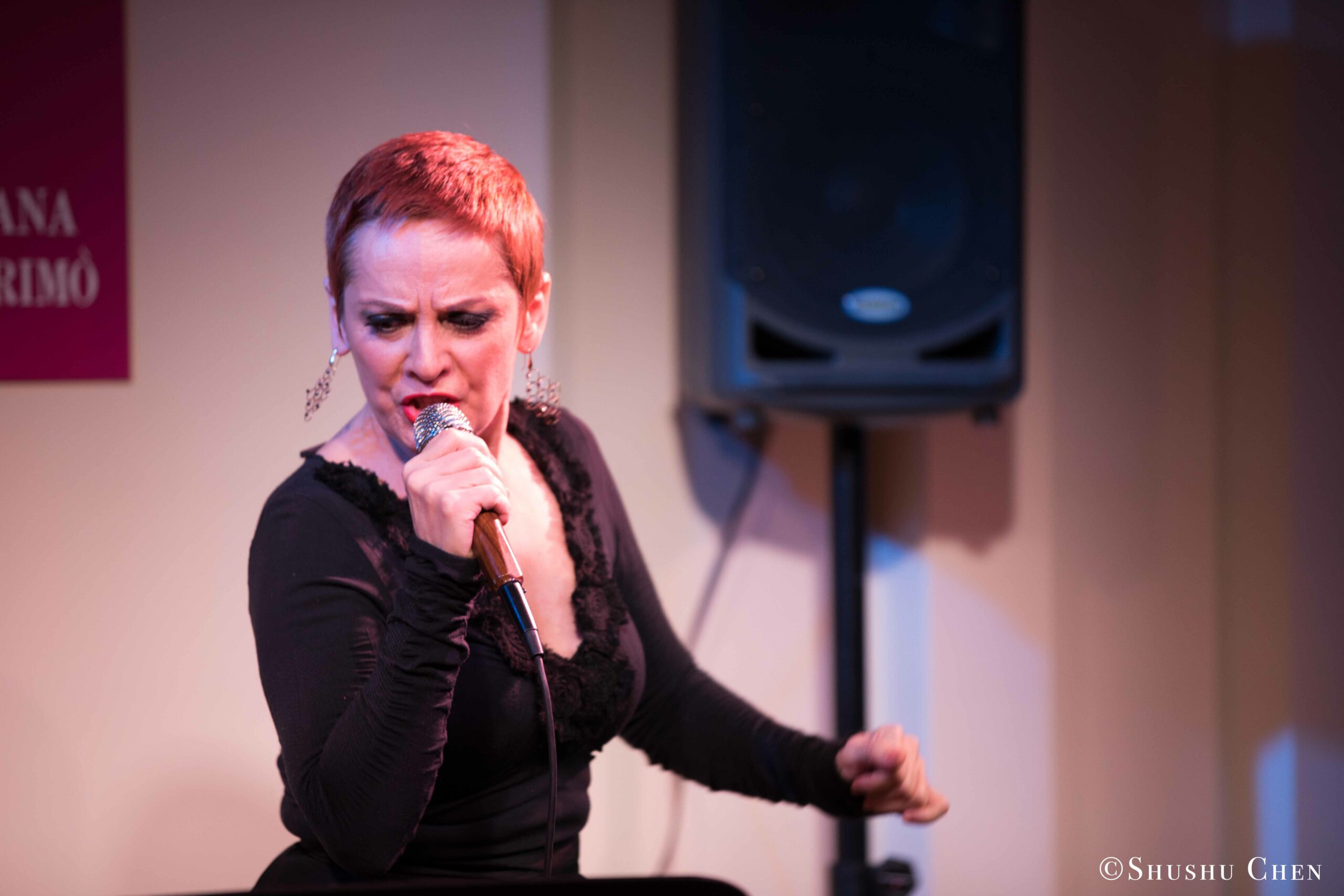 singer-performing-from-concert-quando-la-banda-passo-at-casa-italiana