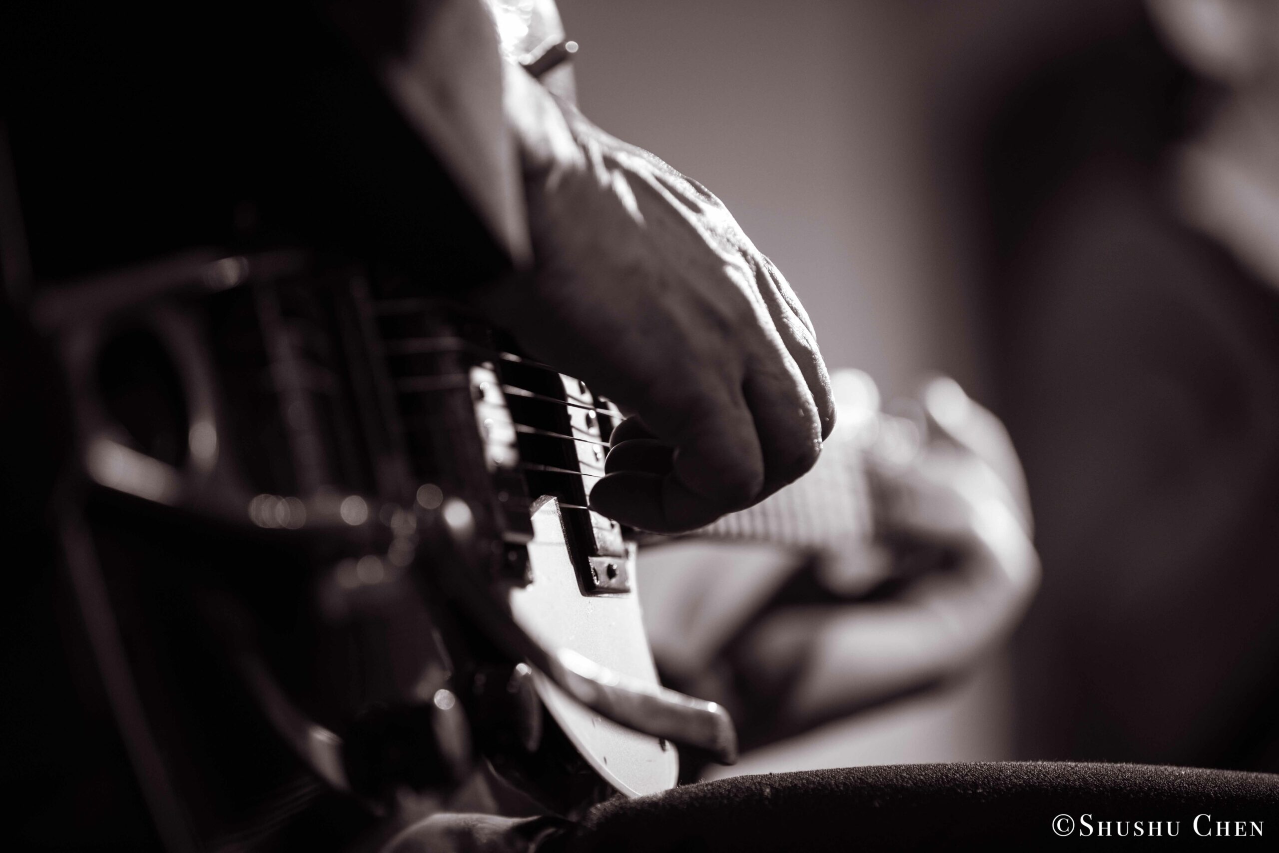 musician-playing-guitar-from-concert-quando-la-banda-passo-at-casa-italiana