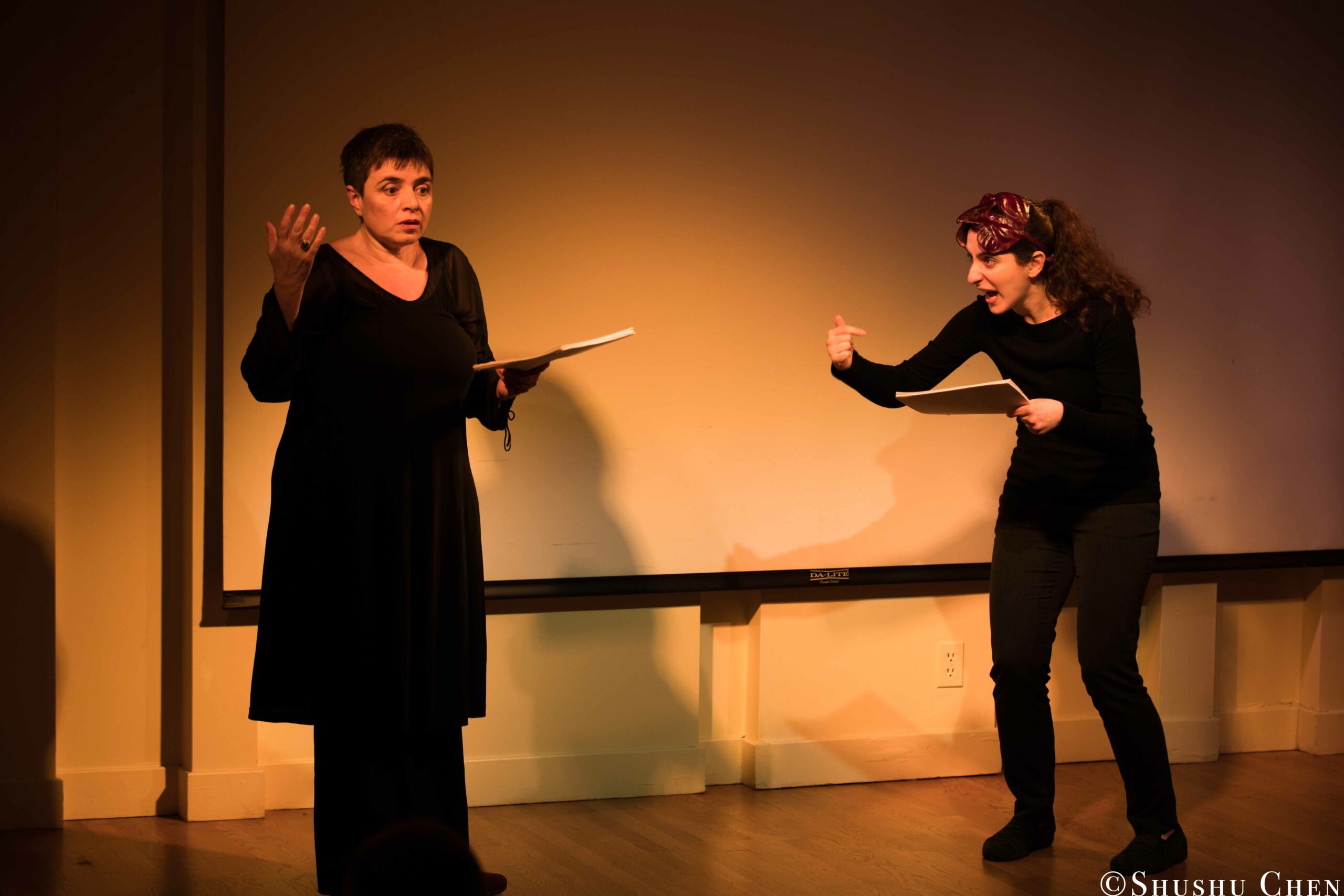artist-performing-from-on-the-italian-stage-comedy-at-casa-italiana