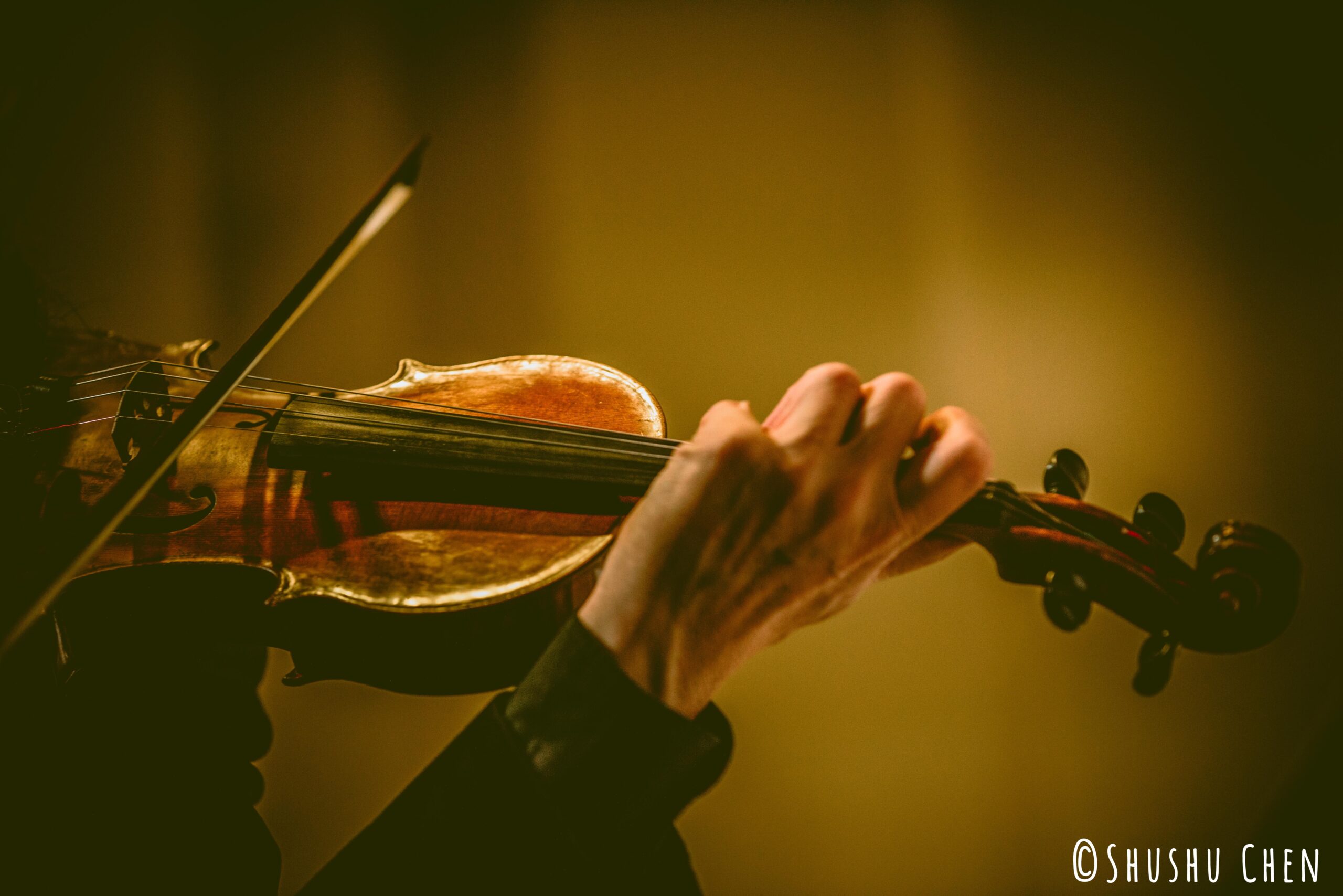 musician-playing-violin-from-concert-amen-amin-aman-at-casa-italiana