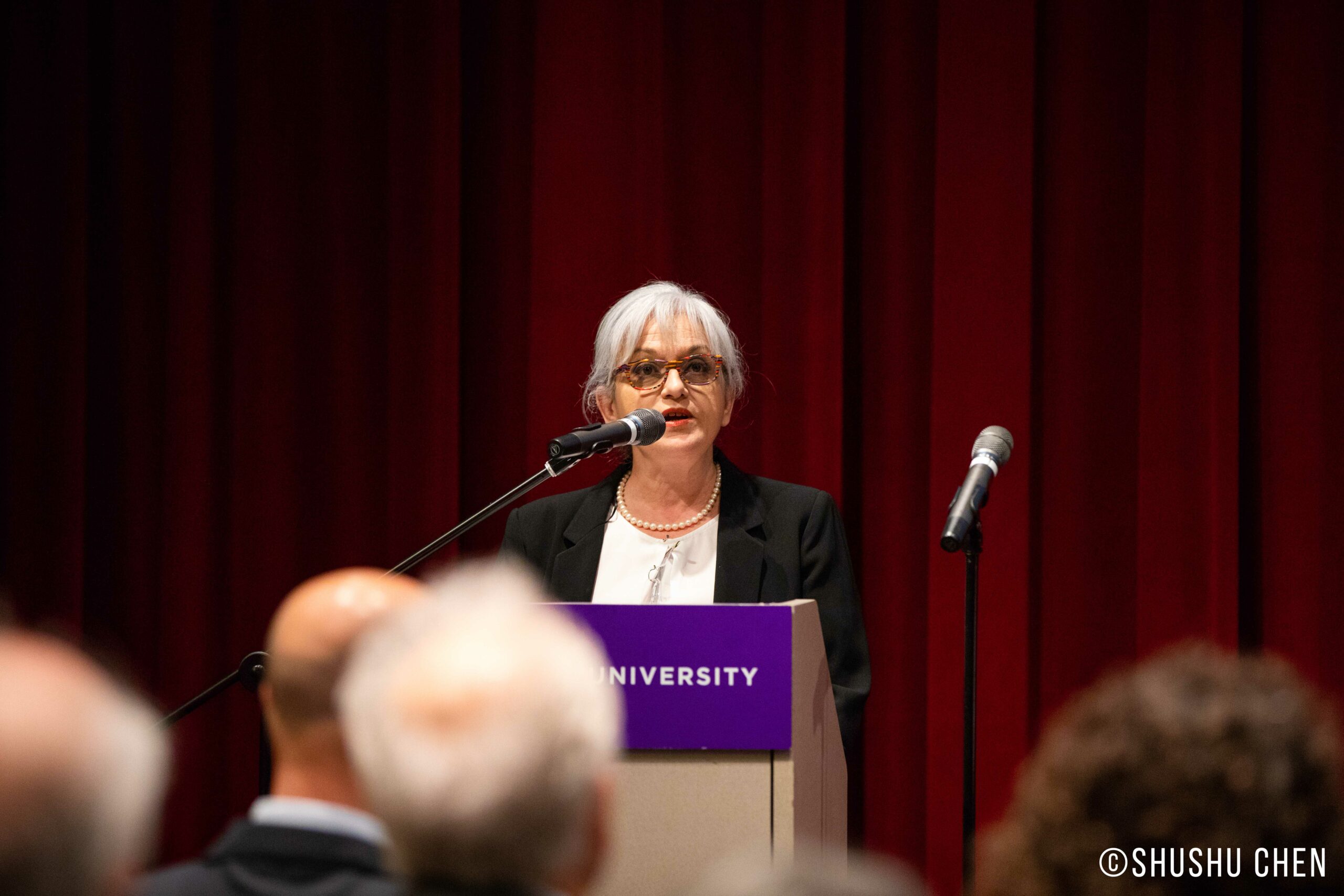 speaker-talking-from-veneto-the-land-of-venice-at-nyu