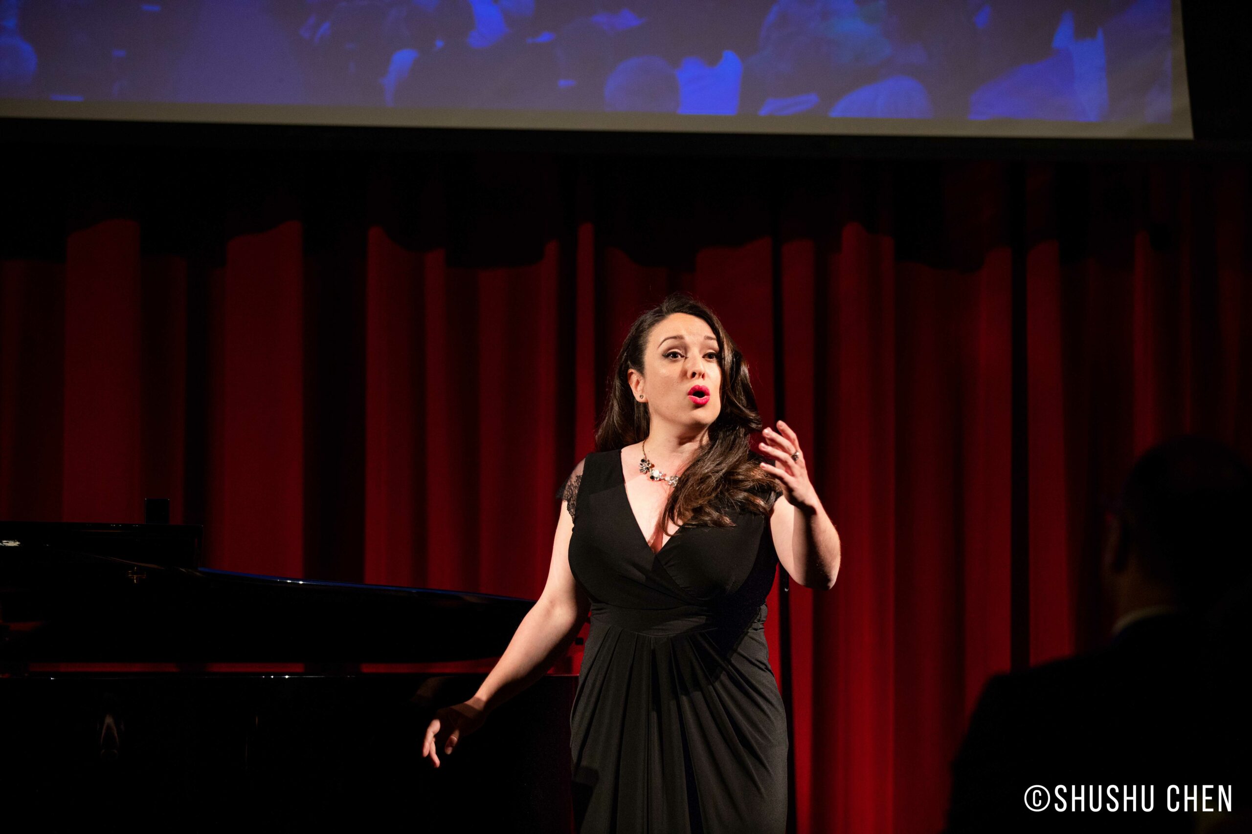 artist-performing-from-veneto-the-land-of-venice-at-nyu