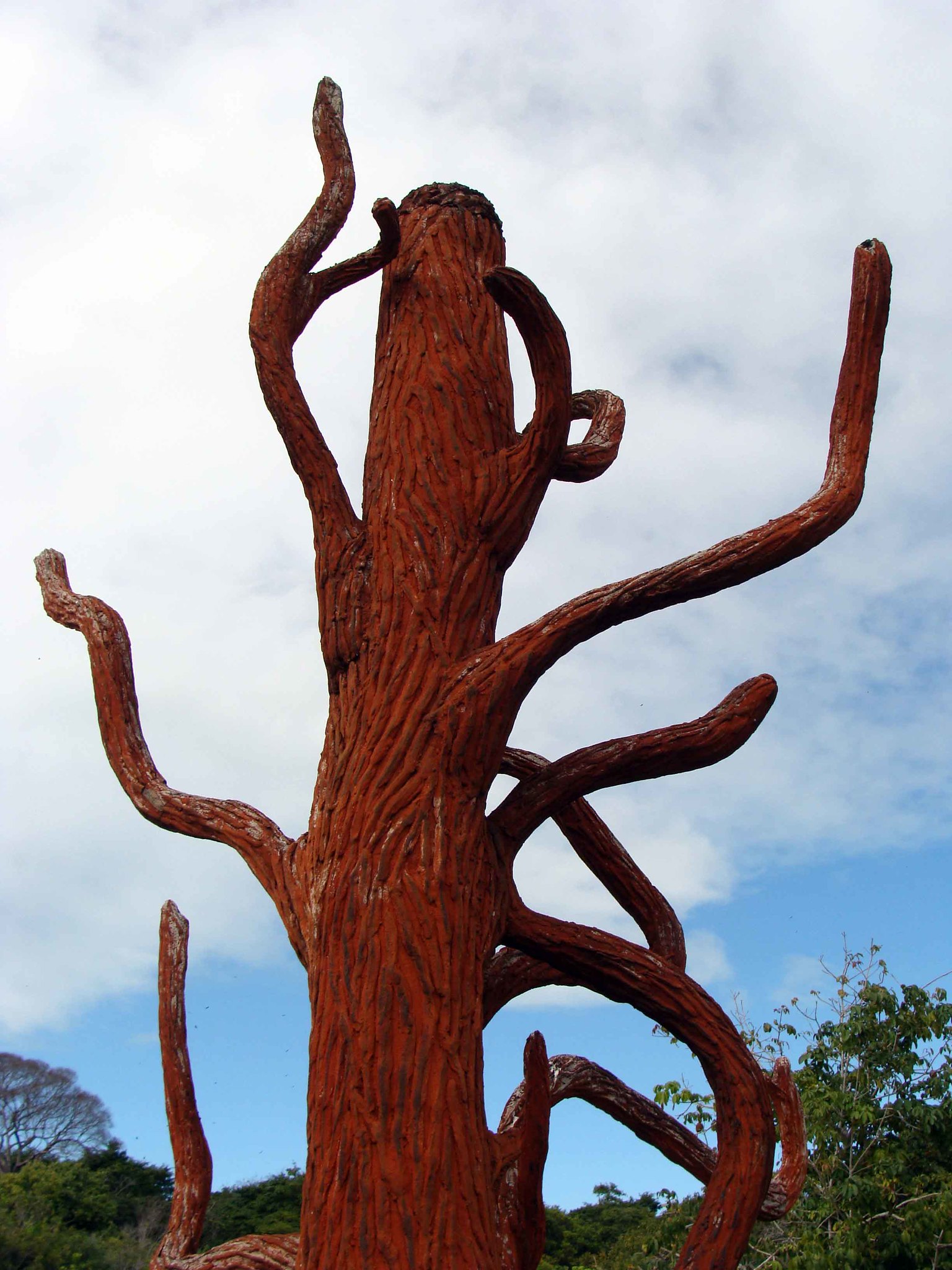 photo of Frans Krajcberg, Burned tree