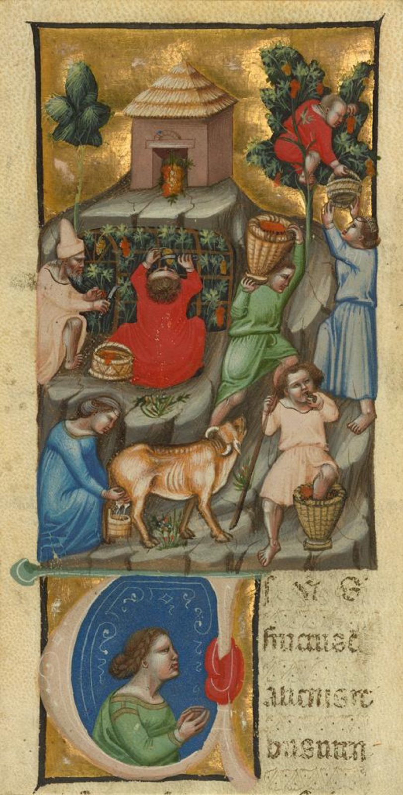 The J. Paul Getty Museum Harvest Scene; Italian (Bologna), before 1340